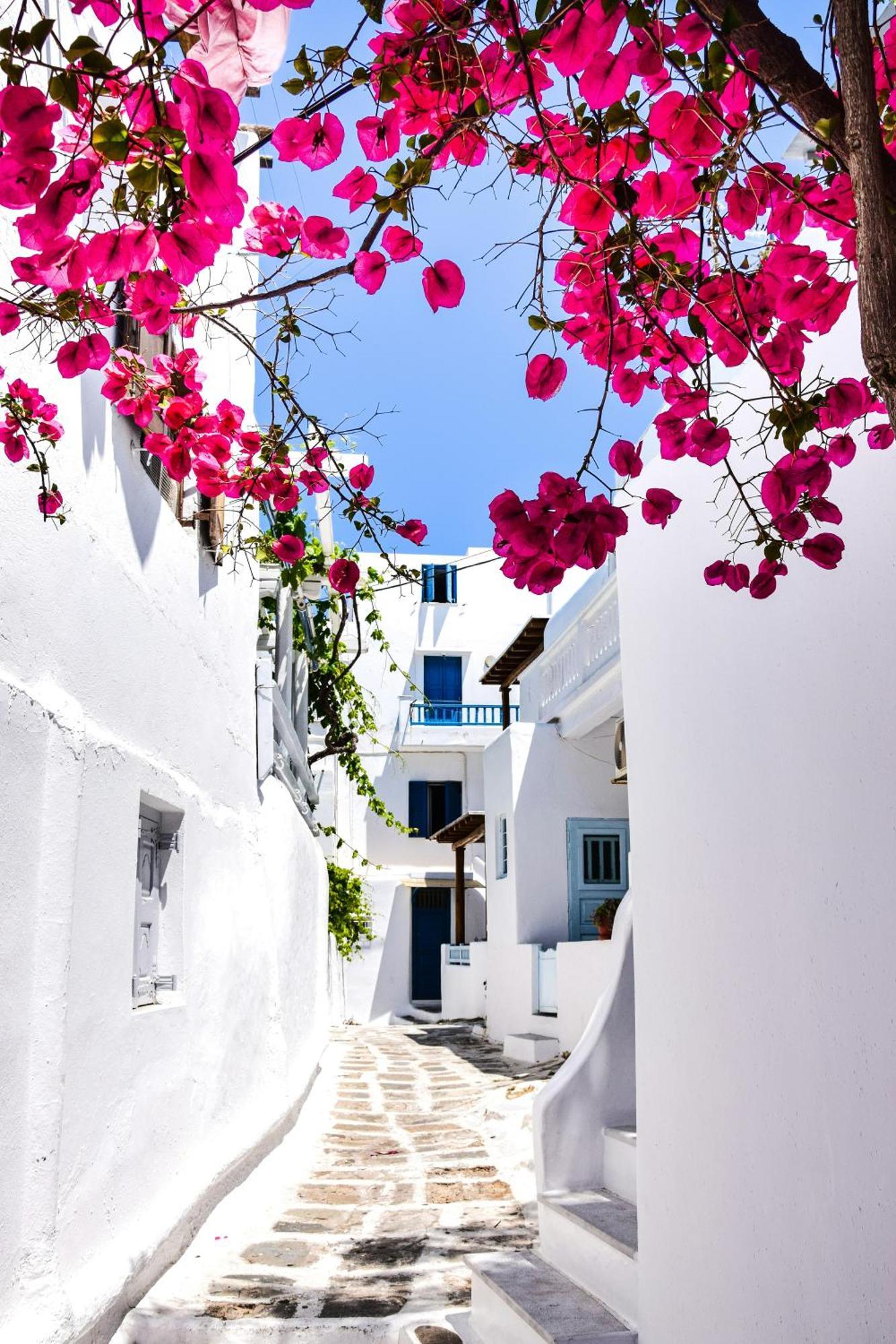 Aniko Suites White Alley Mykonos Town 外观 照片